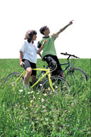 VTT